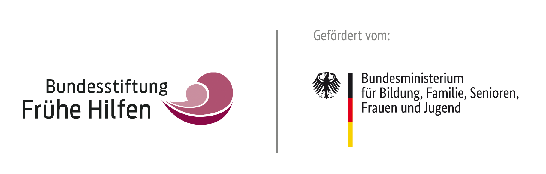 NZFH Logoleiste BSBMBFSFJ RGB
